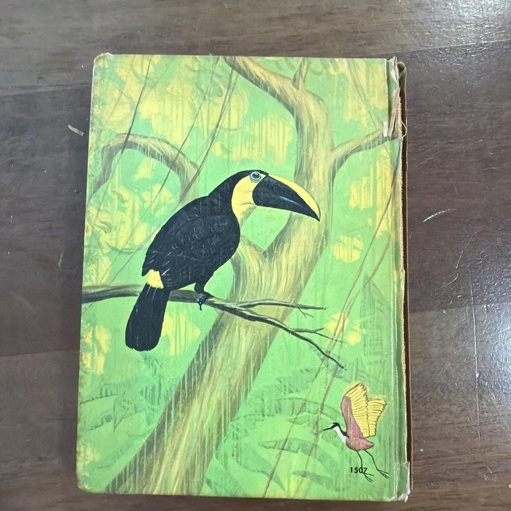 Edgar Rice Burroughs Tarzan Of The Apes Hardcover 1964 Vintage